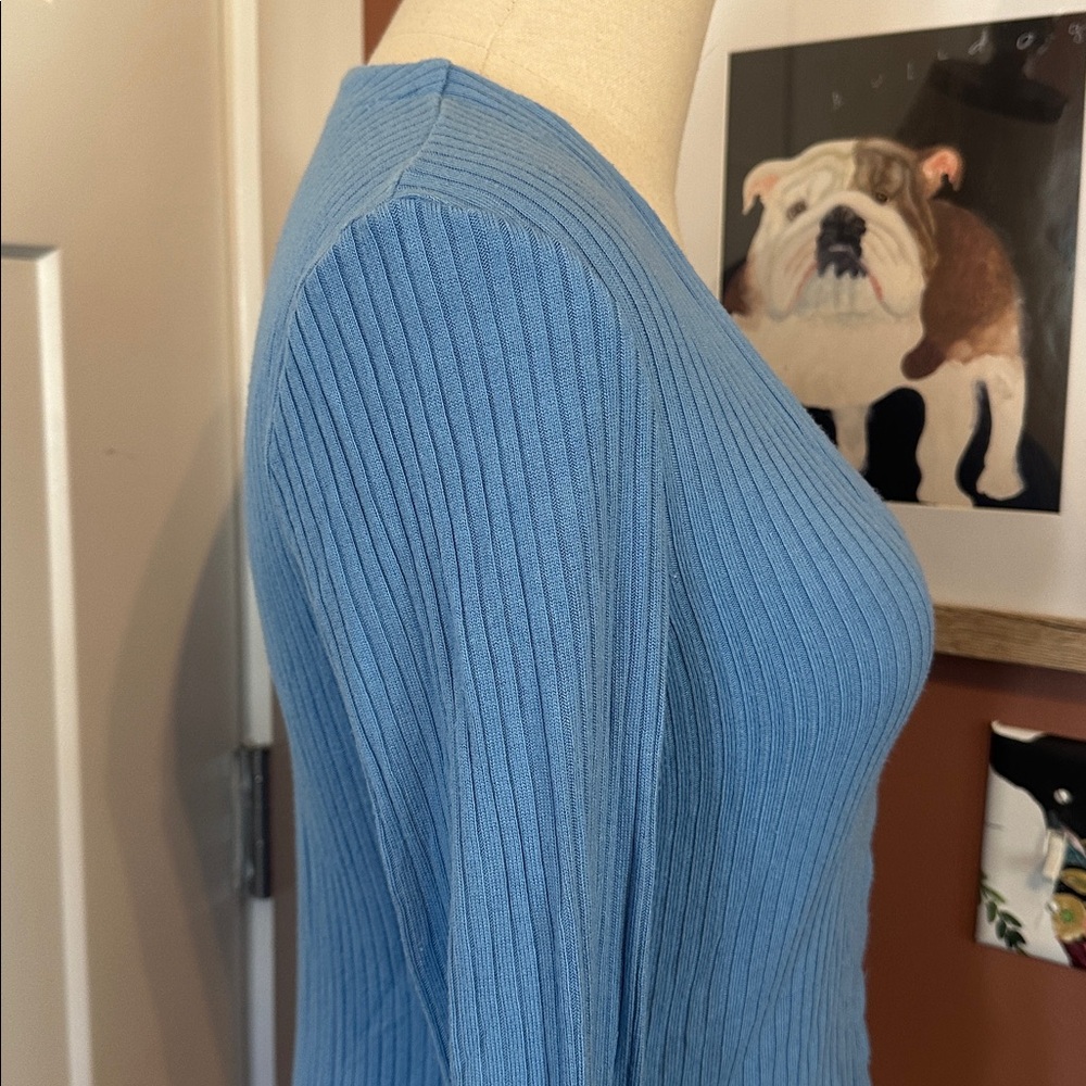 Reformation Gellar Parisian Blue Ribbed bell sleeve L shell Button-Up vneck Top - Picture 9 of 14
